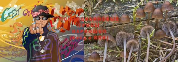эйфоретик Абинск